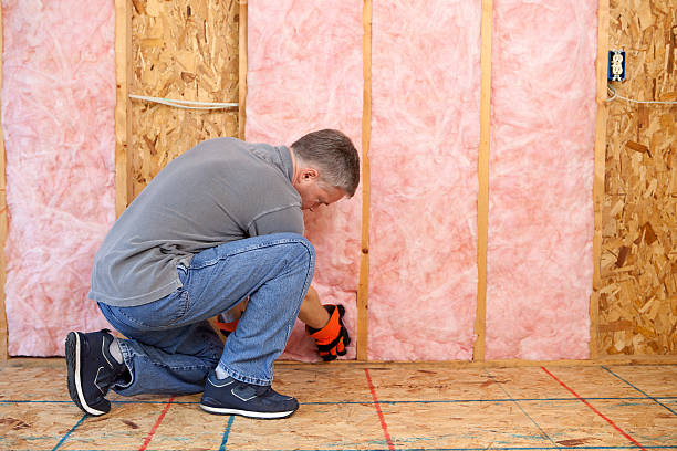 Best Basement Insulation  in Collinsville, AL